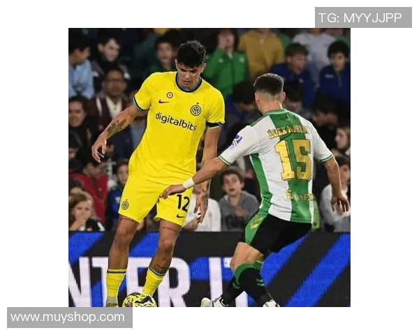 意甲激战波尔图逆转国米绝杀瞬间引发全场狂欢战术解析